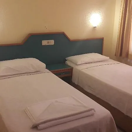 Sardunya 3*